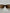 MAX MARA - 2000s SHIELD SUNGLASSES