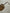 MAX MARA - 2000s SHIELD SUNGLASSES